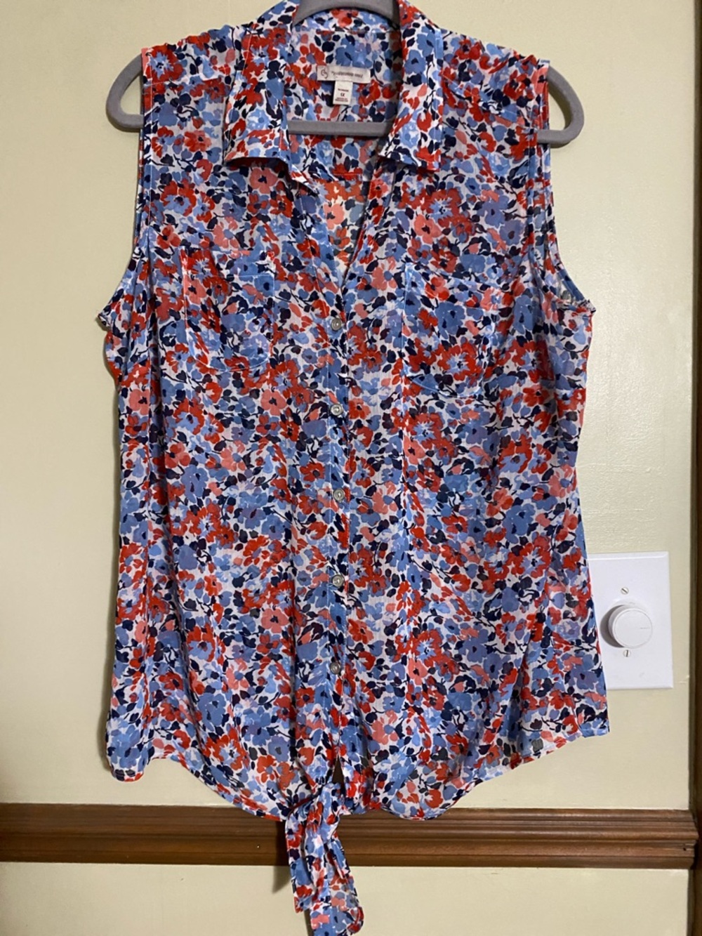 Sleeveless Button-Front Tie-Hem Blouse in Blue & Red Floral